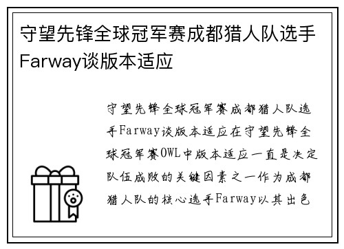 守望先锋全球冠军赛成都猎人队选手Farway谈版本适应